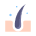 Hair Icon