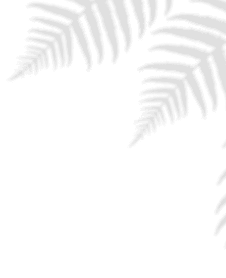 Leaf Top Right