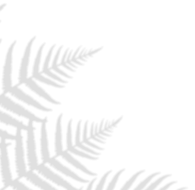 Leaf Bottom Left